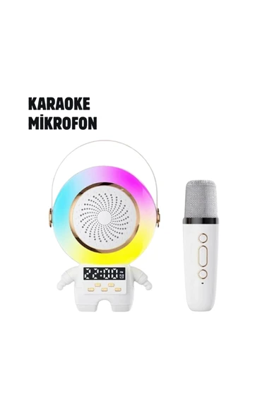 SAYARMARKT TK-66 KARAOKE SPEAKER ürün görseli 1
