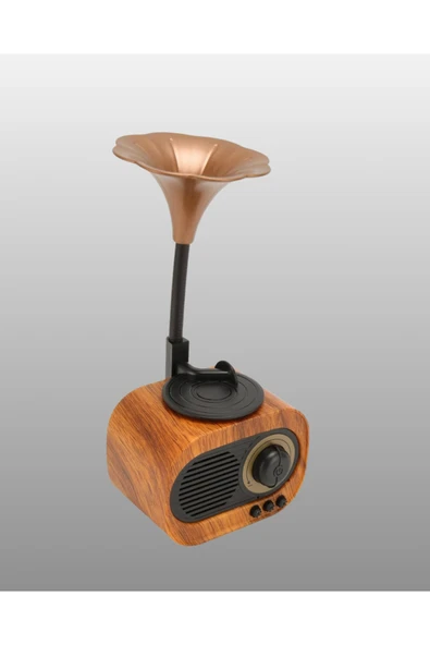 SAYARMARKT B5 RADYO - Resim 3