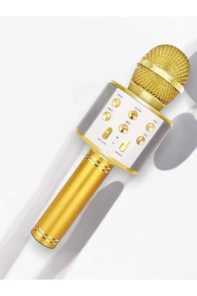 SAYARMARKT Şık ve Güçlü Ses Sistemi - Karaoke Mikrofon ve Hoparlör Bluetooth Hoparlör ürün görseli 1