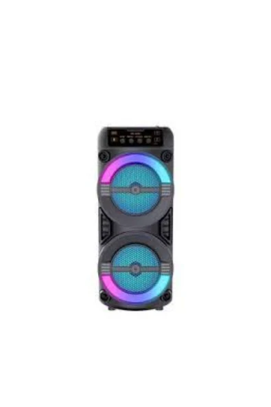SAYARMARKT PG3233 SPEAKER - Resim 2