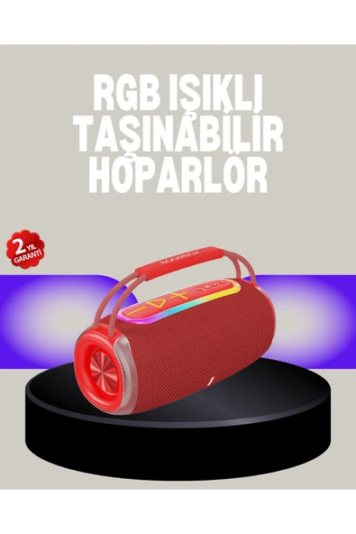 SAYARMARKT 20W Kablosuz Bluetooth Hoparlör RGB Işık Efektli USB/SD/AUX Destekli ürün görseli 1