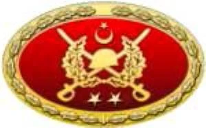 TSK Metal Bröve Çeşitleri. - Resim 5