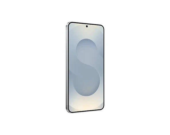 Samsung Galaxy S25 256 GB Gümüş - Resim 6