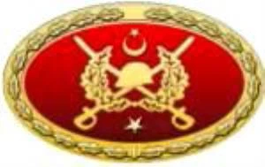TSK Metal Bröve Çeşitleri. - Resim 4