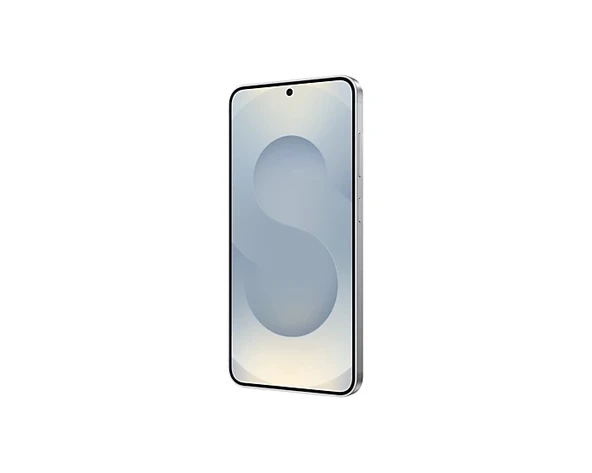 Samsung Galaxy S25 256 GB Gümüş - Resim 5