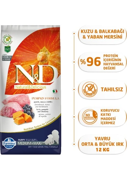 N&D Balkabaklı Kuzu Etli Tahılsız Yavru Köpek Maması 12 Kg Orta ve Büyük Irklar İçin Doğal Besin ürün görseli 1