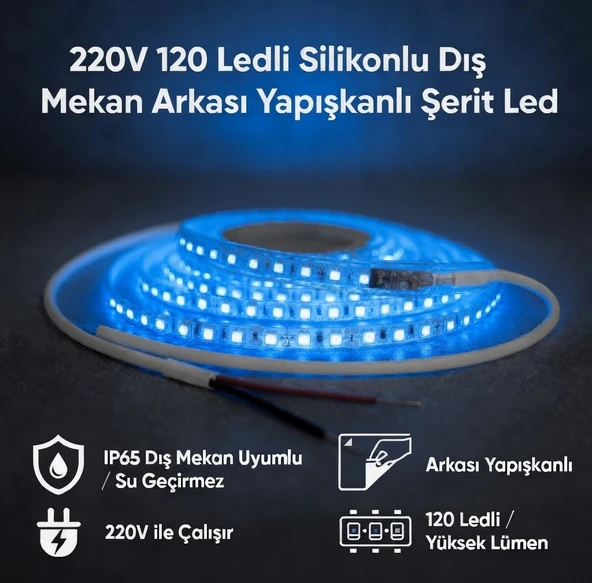 220V 120 LED Dış Mekan Şerit LED Mavi Işık Arkası Yapışkanlı Suya Dayanıklı Dekoratif Aydınlatma ürün görseli 1