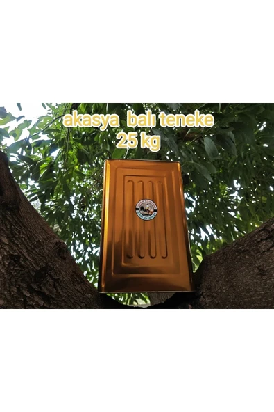 Akasya Balı Net 25 Kg Teneke - Resim 2