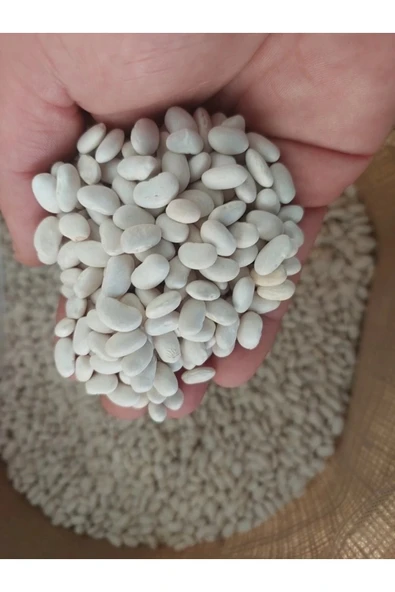 Kuru Fasulye 2 Kg - Resim 2