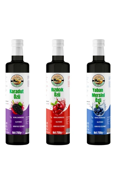 Eko 3 Lü(karadut Özü,kızılcık Özü,yaban Mersini Özü 3 *700 gr ürün görseli 1