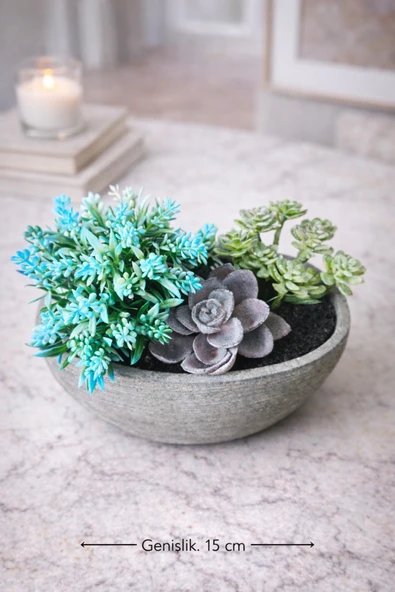 aymumi home Yapay Sukulent Aranjman Kase Saksılı 15x8 cm Dekoratif Bitki  Modern Masa Üstü Çiçek ürün görseli 1