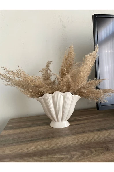 Vanilia Concept İstiridye vazo ürün görseli 1