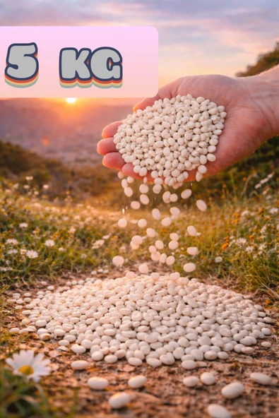 Kuru Fasulye 5 Kg ( Köy Mahsulu ) ürün görseli 1