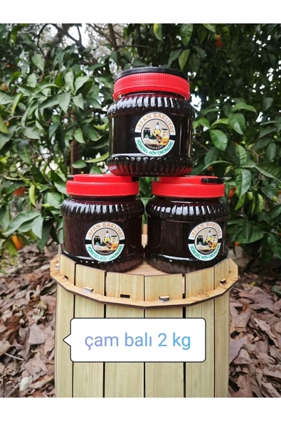 Çam Balı 1900 gr - Resim 3