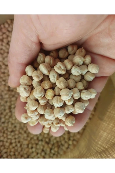 Nohut 1 Kg - Resim 7