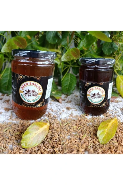 Çam balı (850 Gr) Çiçek balı (850 Gr) ürün görseli 1