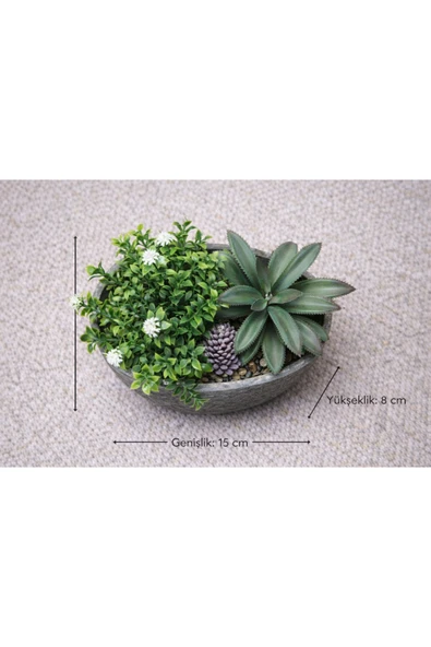 aymumi home Yapay Sukulent Aranjman Kase Saksılı 15x8 cm Dekoratif Bitki  Modern Masa Üstü Çiçek ürün görseli 1