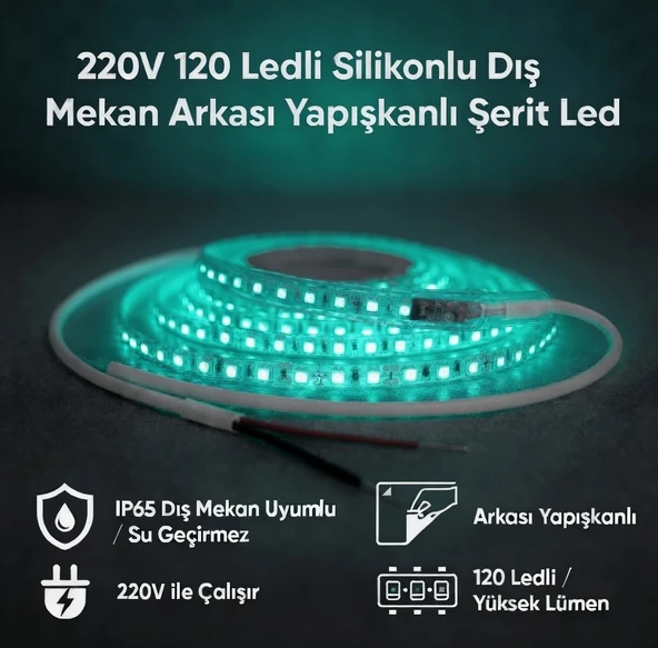 220V 120 LED Dış Mekan Şerit LED Turkuaz Işık Arkası Yapışkanlı Suya Dayanıklı Dekoratif Aydınlatma ürün görseli 1