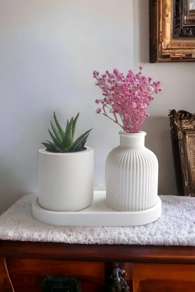 ALLEZA HOME Dekoratif Iskandinav Tarz Mini Beton Vazo Sukulent Saksısı Tabaklı Set ürün görseli 1