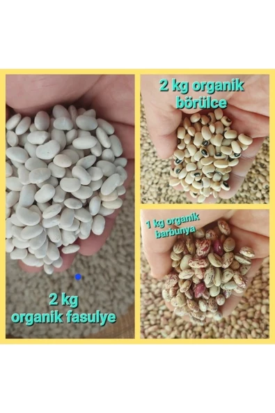 Fasulye 2 Kg Börülce 2kg Barbunya1 Kg ( Köy Mahsulu (katkısız, Doğal) ürün görseli 1