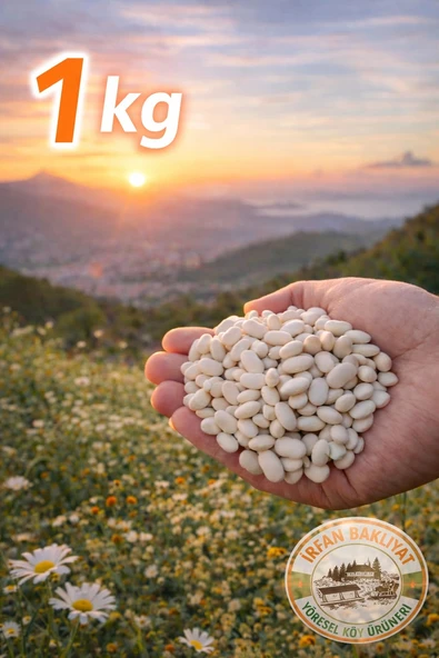 Köy Mahsulu Yerli Kuru Fasülye 1 Kg ürün görseli 1
