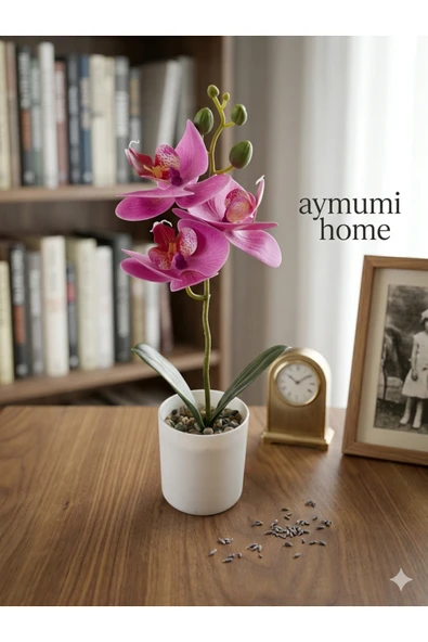 aymumi home Dekoratif Orkide Yapay Çiçek  Saksıda Premium Gerçek Görünümlü Masa Üstü Ev & Ofis Dekoru ürün görseli 1