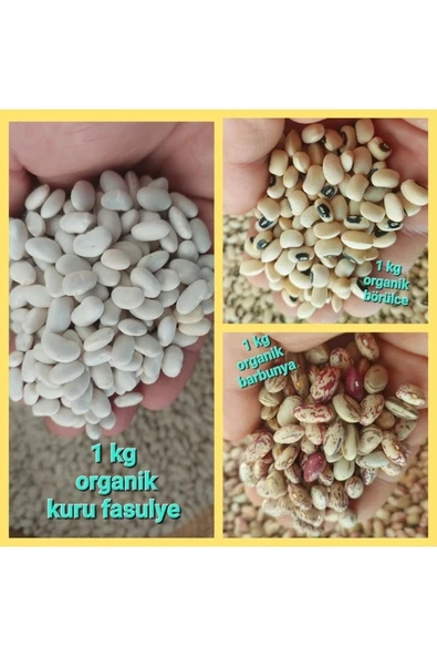 Kurufasulye 1 Kg, Börülce 1 Kg, Barbunya 1 Kg ( Köy Mahsulu ) ürün görseli 1