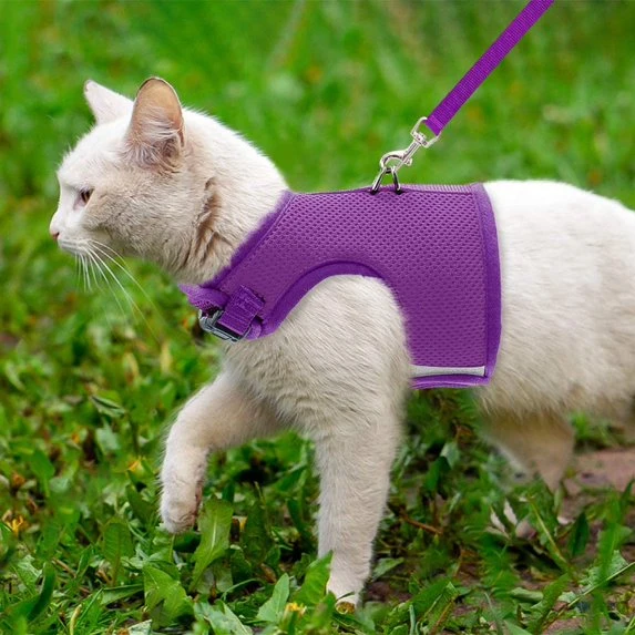 Ayarlanabilir Kedi Tasması, Kareli Fırfırlı Yumuşak File Kedi Yeleği Tasması Dolgulu Yavru Köpek Tasması ürün görseli 1