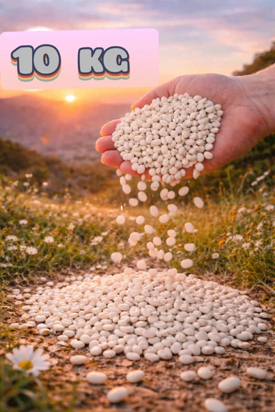 Kuru Fasulye 10 Kg ( Köy Mahsulu ) (KATKISIZ, DOĞAL) ürün görseli 1