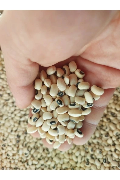 Börülce 3 Kg ( Köy Mahsulu ) - Resim 2