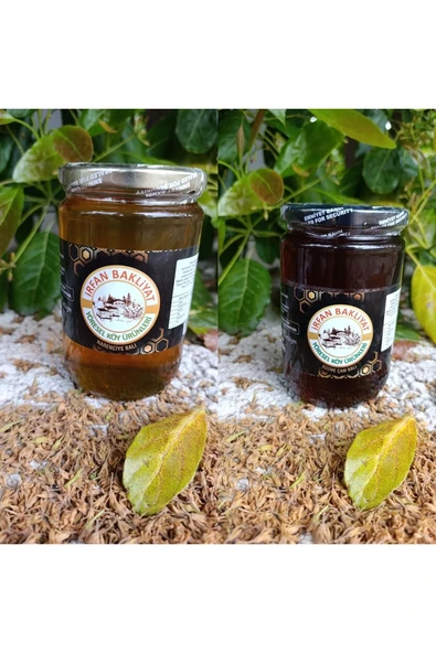 Çam Balı (850 GR) Narenciye Balı (850 GR) ürün görseli 1