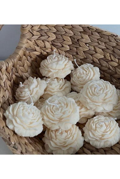 howartia store 25 Li Şakayık Dekoratif Mum ( 25 Adet) ürün görseli 1