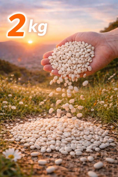 Kuru Fasulye 2 Kg ürün görseli 1