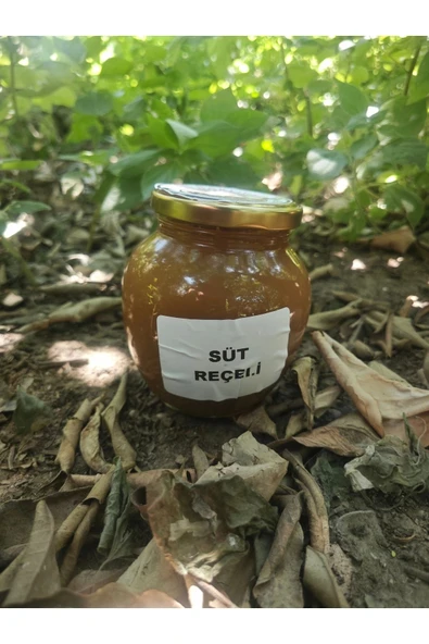 Süt Receli 450 gr ürün görseli 1