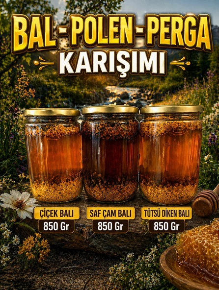 Bal Polen Perga Karışımı 850 Gr | Çiçek, Saf Çam, Tütsü Diken Balı ürün görseli 1