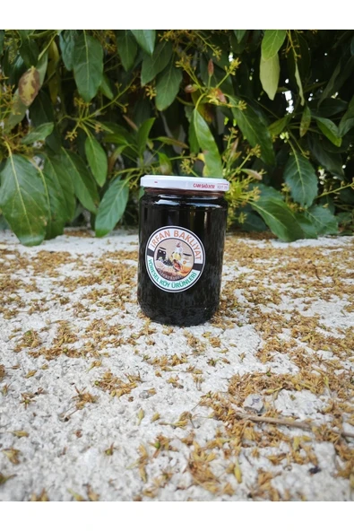 Dut Pekmezi 1700 gr - Resim 2