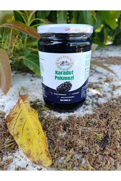 Karadut Pekmezi 800 gr ürün görseli 1
