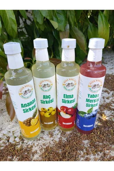 Ananas Sirkesi 500ml,alıç Sirkesi 500ml,elma Sirkesi 500ml,yabanmersini Sirkesi 500ml ürün görseli 1