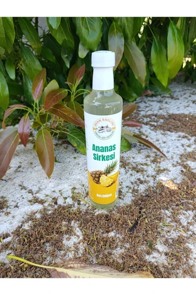 Ananas Sirkesi 2*500 gr - Resim 2