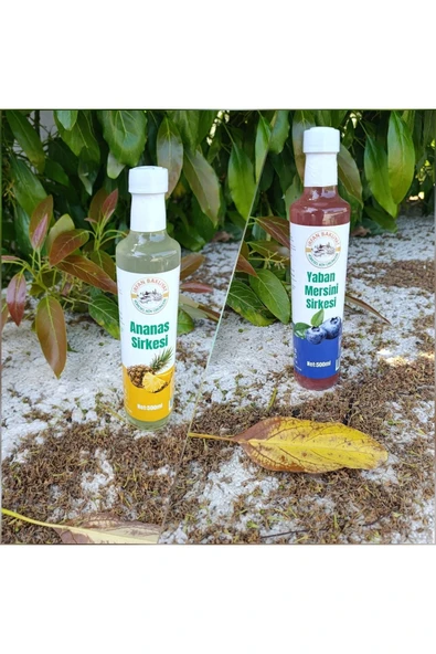 Ananas Sirkesi Yaban Mersini Sirkesi Toplam 1000 ml ürün görseli 1