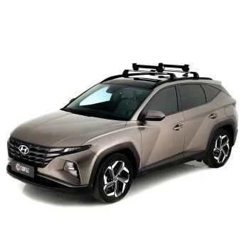 Turtle Tavan Kayak ve Snowboard Taşıyıcı Gri Apex 6 ürün görseli 1