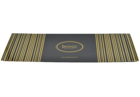 Brianze 8 Cm Yeşil Desenli Kravat Mendil Set - Resim 4