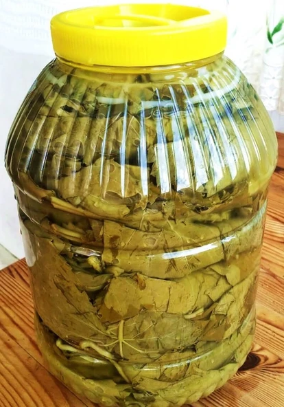 Salamura Asma Yaprağı 5 kg Manisa Sultaniye Üzümü Bağından Enfes Lezzet ürün görseli 1