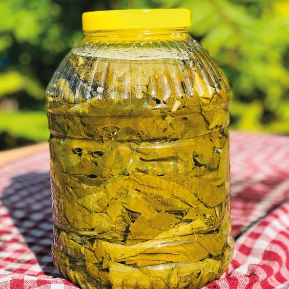 Salamura Asma Yaprağı 10 kg Manisa Sultaniye Üzümü Bağından Enfes Lezzet ürün görseli 1