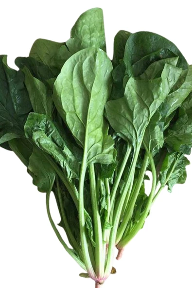 Bursa Geniş Yapraklı Yerli Ispanak Tohumu 1 Kg ürün görseli 1