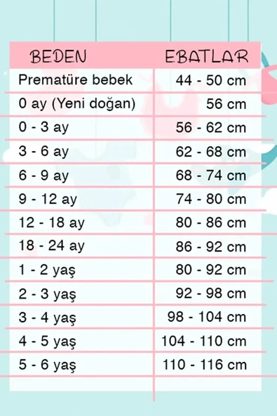 Optimist Nakışlı Erkek Bebek Takım - Resim 3