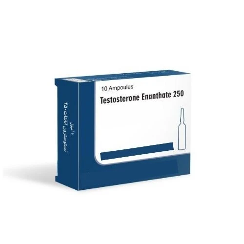İran Testosterone Enathate 250 ürün görseli 1