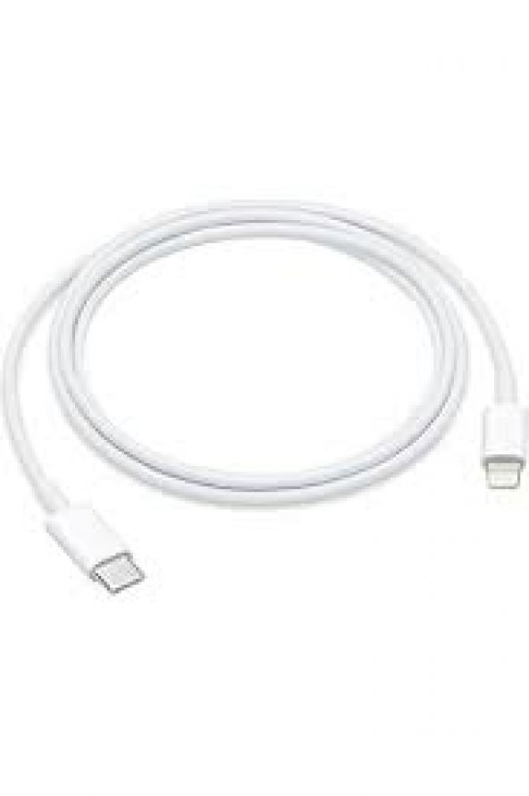 APPLE İphone USB-C Lightning Hızlı Şarj Kablosu - Resim 3
