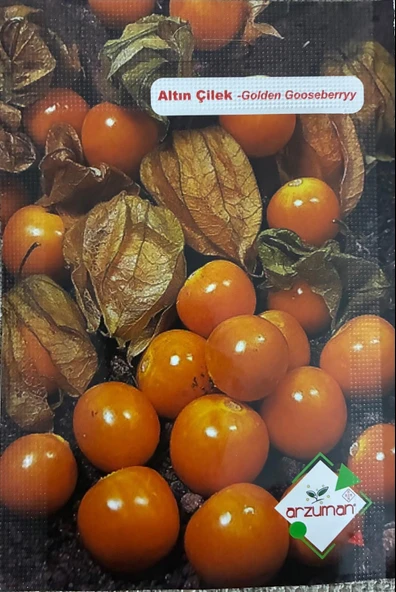 Altın Çilek Tohumu 50 Adet ürün görseli 1