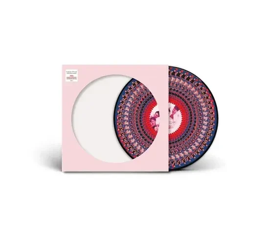 Take That Everything Changes Limited Zoetrope National Album Day 2024 Edition LP Plak ürün görseli 1